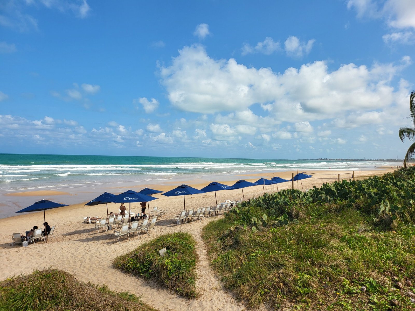 Praia em Porto de Galinhas